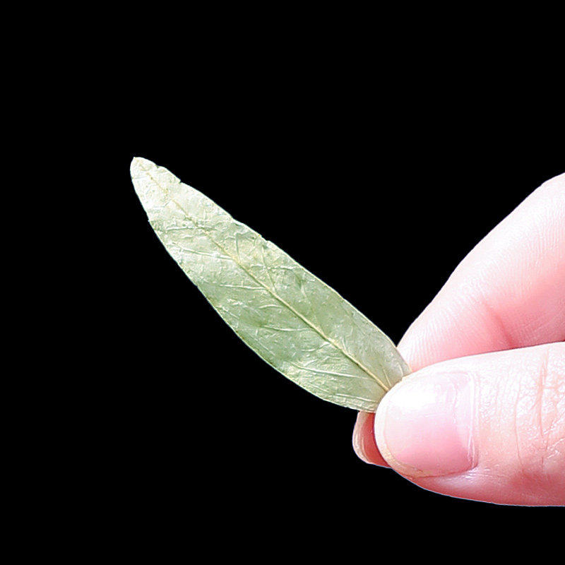 番泻叶官方旗舰店500g正品天然泡水非粉特级番泻叶中药材番茄泻叶,淘宝优惠券,粉丝福利购,淘宝优惠卷