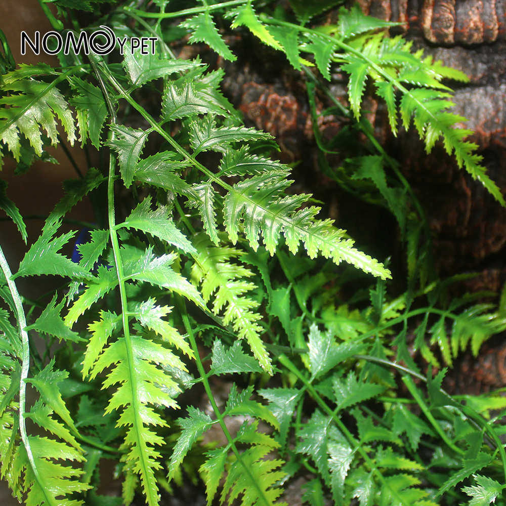 仿真植物饲养箱爬宠陆龟蜥蜴守宫爬虫雨缸箱藤蔓壁挂装饰造景植物,淘宝优惠券,粉丝福利购,淘宝优惠卷
