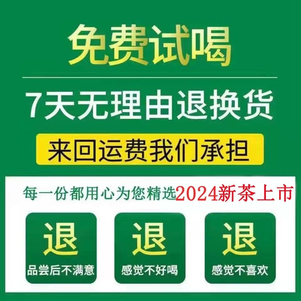 明前新春茶云雾绿茶高山茶叶非毛尖日照充足浓香型袋散装共750g - 图3