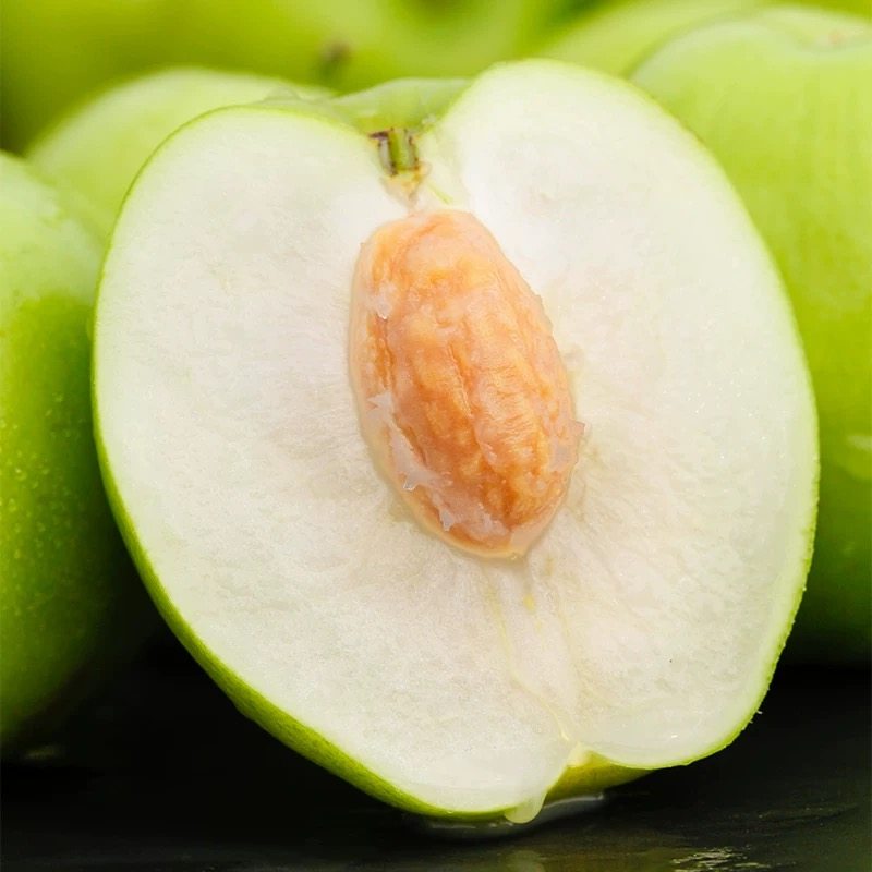 正宗牛奶大青枣10斤新鲜水果贵妃枣当季大蜜枣冬枣苹果枣整箱包邮,淘宝优惠券,粉丝福利购,淘宝优惠卷