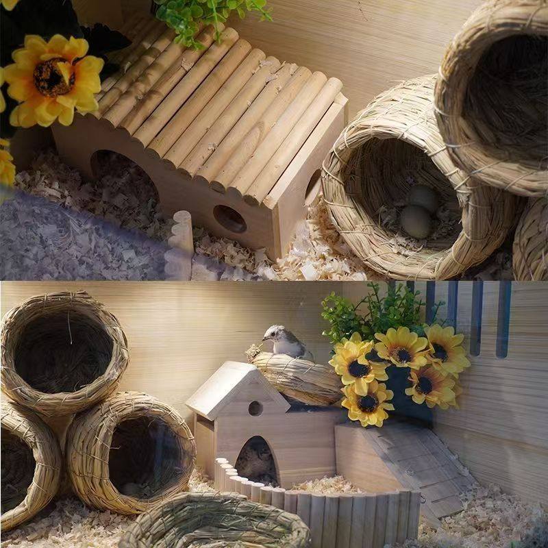 泸芦丁鸡饲养箱实木仓鼠金丝熊鹌鹑窝恒温育雏养殖宠物窝笼子豪华,淘宝优惠券,粉丝福利购,淘宝优惠卷