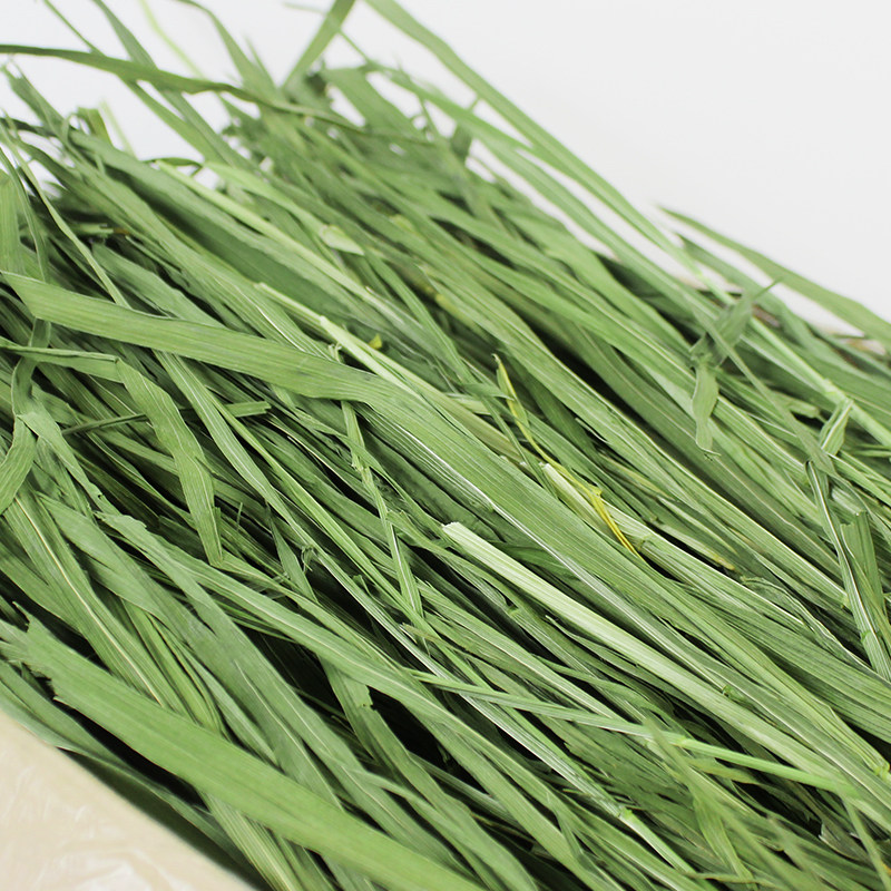 极速兔兔干草烘干小麦草牧草兔子草荷兰猪草M龙猫牧草小麦苗1Kg包,淘宝优惠券,粉丝福利购,淘宝优惠卷