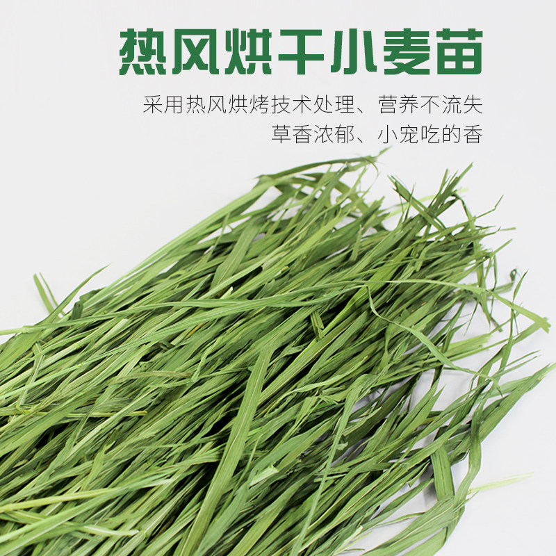 极速兔兔干草烘干小麦草牧草兔子草荷兰猪草M龙猫牧草小麦苗1Kg包,淘宝优惠券,粉丝福利购,淘宝优惠卷