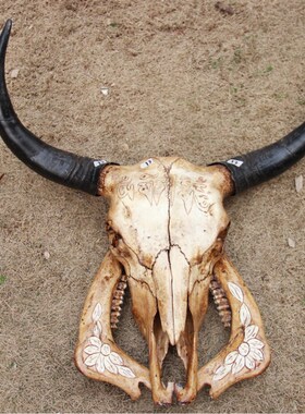 极速牦牛头骨工艺品 天然真牛头装饰品羊头M骨标本特色手工艺牛头
