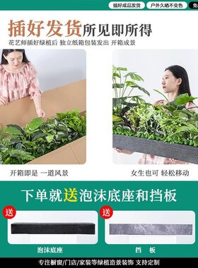 仿真绿植微景观造景组合摆设热带植物隔断花槽花箱仿生假花室装饰