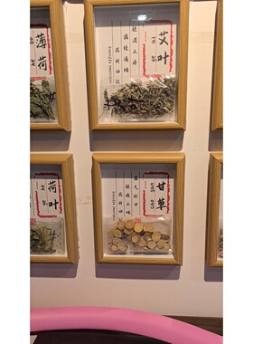 中药标本植物画白芍展示框diy亚克力集中柜子中医货架摆件墙面上