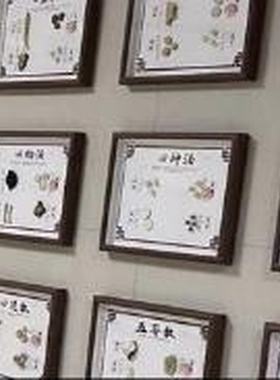 中药标本展示二十四节气相框盒子学习道具广告药膳木质装裱中草药