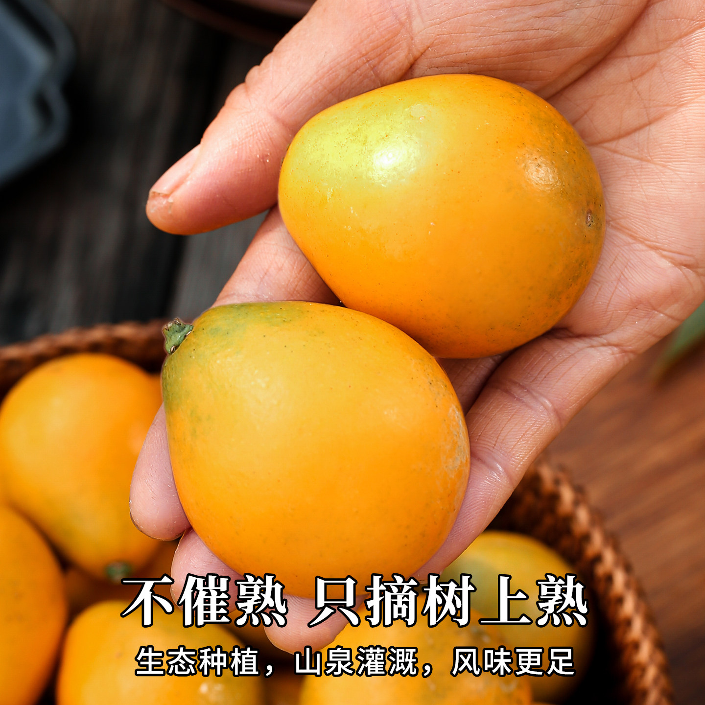 广西脆皮金桔应季水果当季新鲜整箱桔子旗舰店融安特产小金柑橘,淘宝优惠券,粉丝福利购,淘宝优惠卷