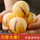 Only yellow fruits丨Ready to eat after receiving丨Tree ripe ginseng fruit