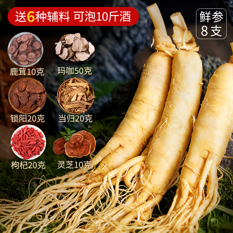 长白山人参 酒浸鲜人参10支富含人参皂苷泡水煲汤泡酒（非药材）