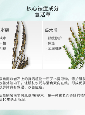 UIR复活草祛痘修护面膜毛孔