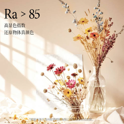 欧普照明卧室吸顶灯主卧2026新款led灯房间餐厅超薄超亮护眼小玉 - 图3