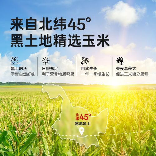 东北香糯玉米碴黄黏小碴子玉米糁农家新货头茬小粒小包装五谷杂粮 - 图1