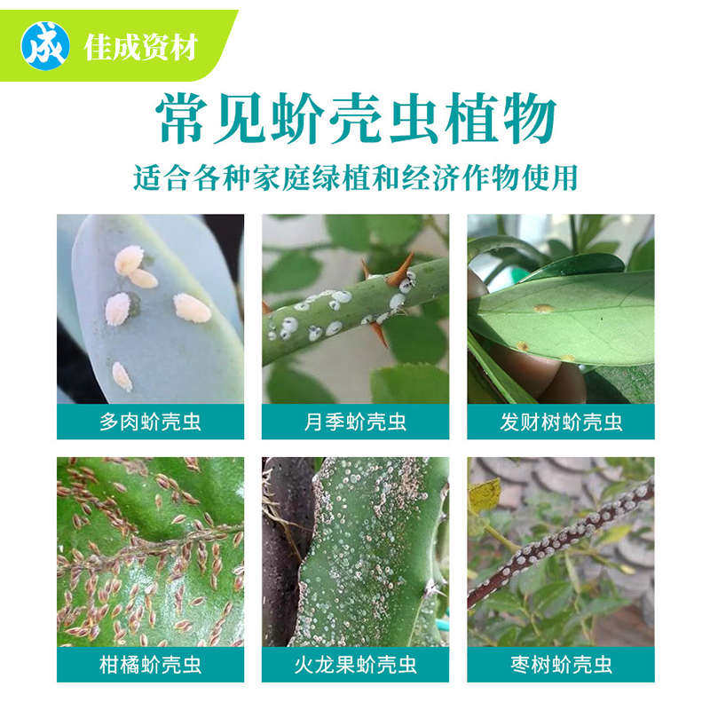 多肉绿植花卉果蔬蚧壳虫专用治介壳虫花卉直喷营养剂剂包邮,淘宝优惠券,粉丝福利购,淘宝优惠卷