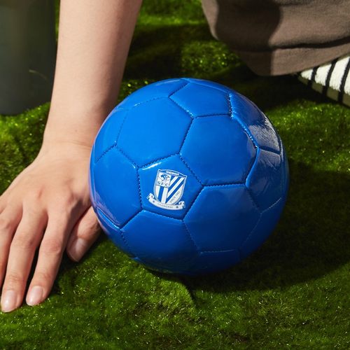 上海申花官方新品徽标足球比赛用球2号球纪念用球申花足球迷周边-图3