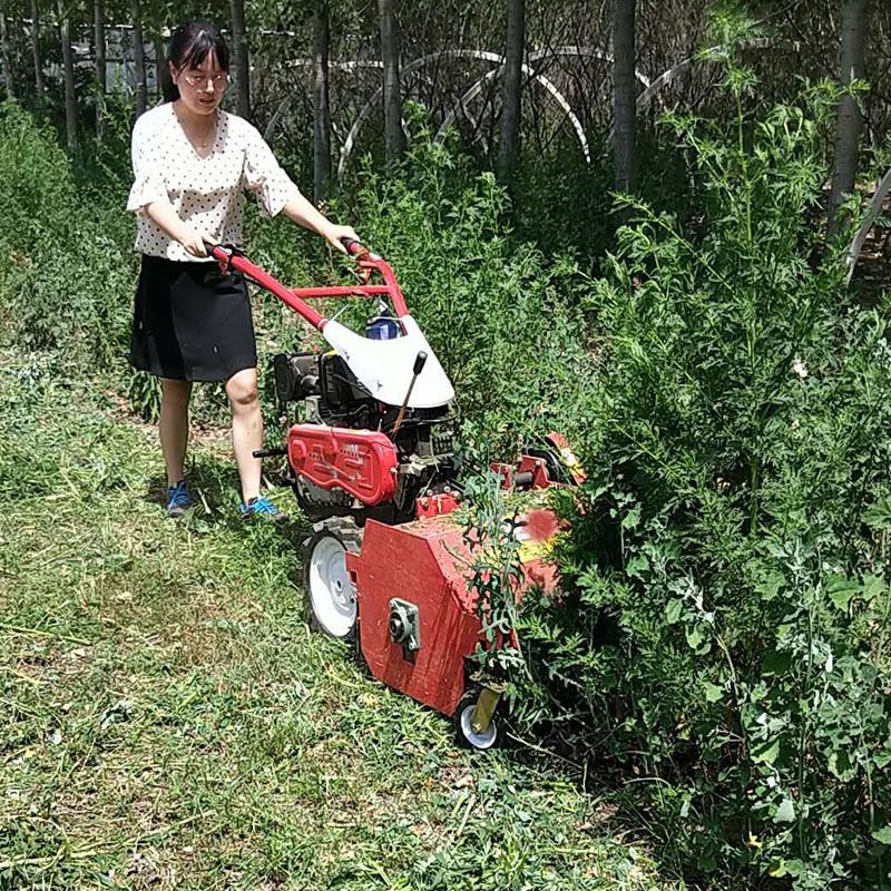 自走式果园碎草旱田机 大马力柴油动力割草机 农用小型打草除草机 - 图2