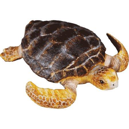 包邮仿真海洋动物模型玩具 乌龟/海龟/鳄龟/象鼻龟 环保无异味 - 图2