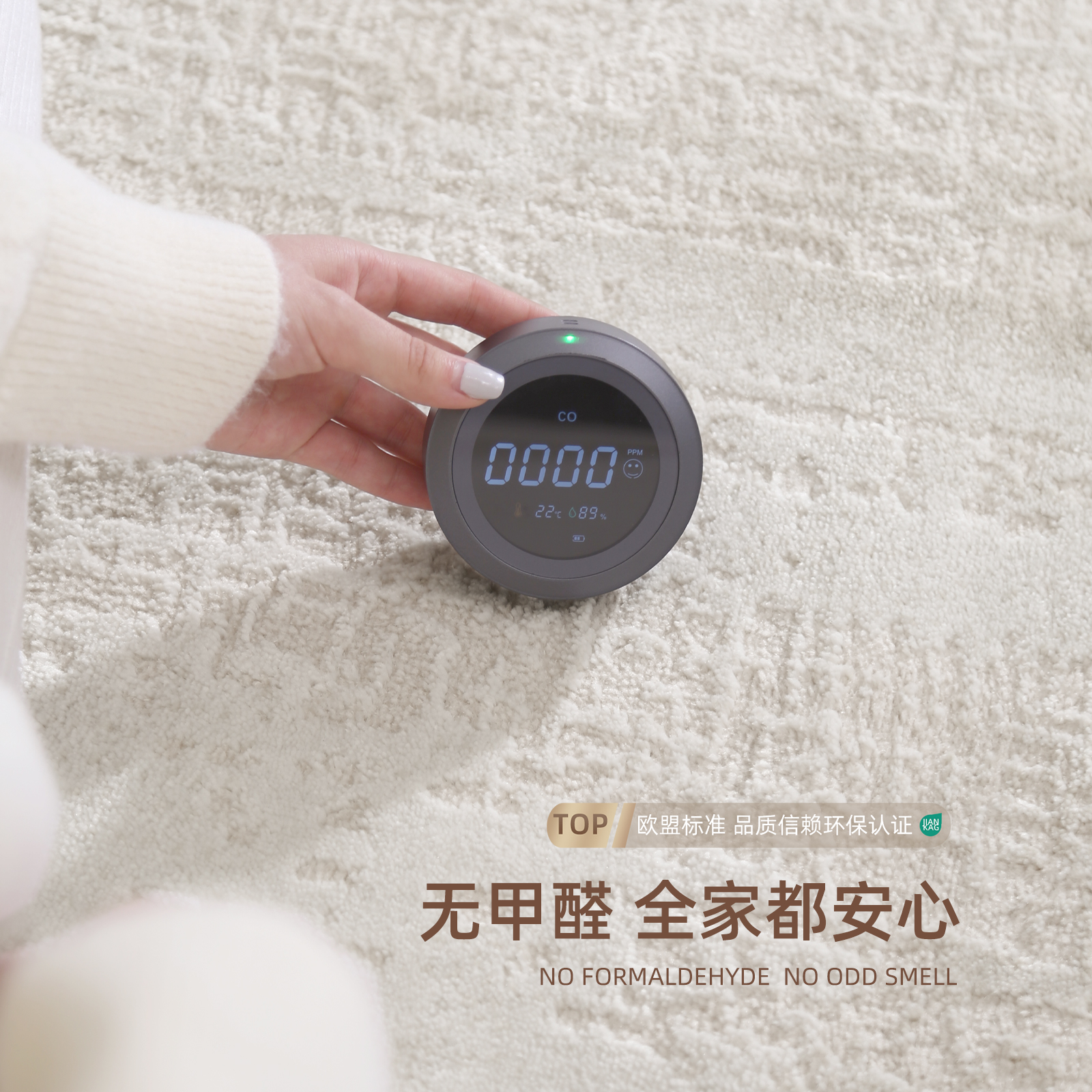 客厅地毯2024新款现代简约免打理卧室床边毯房间沙发地垫加厚冬天