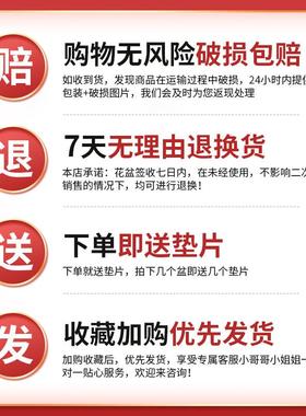 极速12多肉的花盆陶瓷缺口盆悬崖老桩紫砂瘦高盆特大号切口家用粗