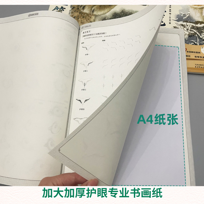 中国画工笔白描动物篇基础入门教程 正统中国画工笔画 超大开本 初学者零基础静心描摹 国画技法入门到精通本,淘宝优惠券,粉丝福利购,淘宝优惠卷