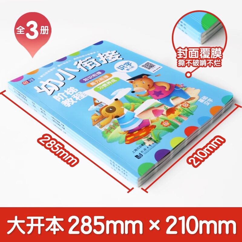 幼小衔接阶梯教程识字书3册 JST学前幼儿阅读与认字大王幼儿园启蒙教材 儿童大班幼升小一年级学前班学汉字语文 阅读早教看图3000