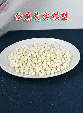 仿真芡实鸡头米水八仙食品模型