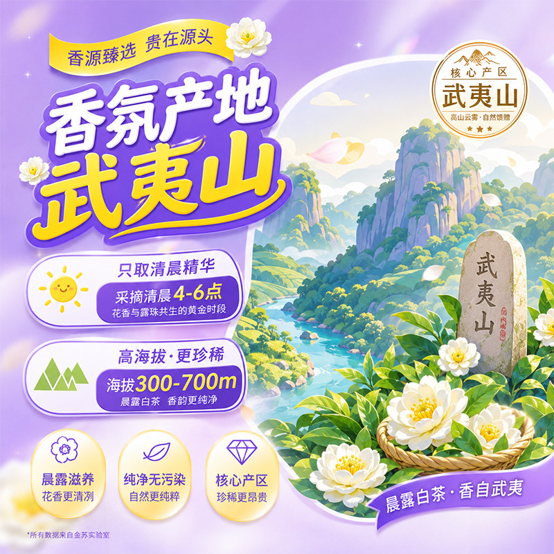 金苏活力白茶花洗衣液3000ml家用补充装深层洁净持久留香官方正品