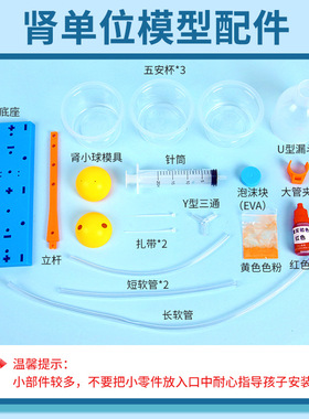 科学小实验diy肾单位模型肾过滤科技小制作初中模拟尿液形成过程