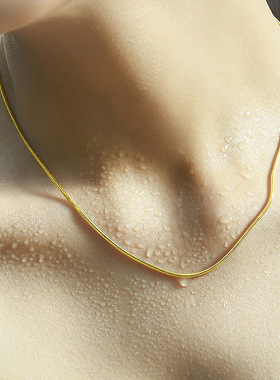 s925纯银1MM素银蛇骨链女 网红夏季项链小众轻奢ins高级感锁骨链