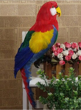 速发仿真动物标本鹦鹉假鸟小鸟摆件花园橱窗道具教学模型静态家居