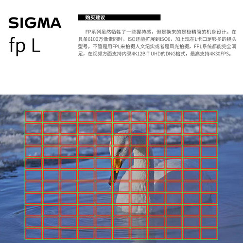 sigma fpl适马fpl相机电影机全画幅微单适马 fp l视频机无反相机 - 图2