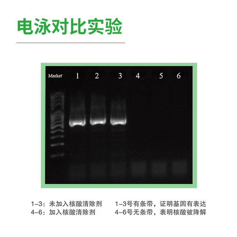 PCR核酸清除剂 实验室仪器耗材空气气溶胶核酸清除  RNase/DNase,淘宝优惠券,粉丝福利购,淘宝优惠卷