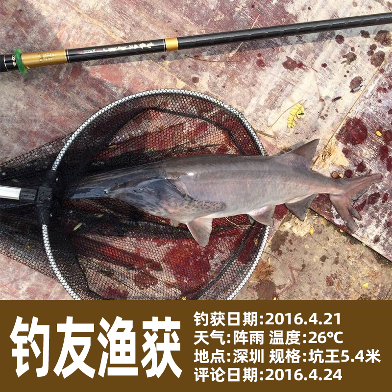 全尺同价竞鹤坑王台钓竿超轻超硬碳素黑坑钓鱼竿手竿鲤鱼鲫鱼手杆,淘宝优惠券,粉丝福利购,淘宝优惠卷