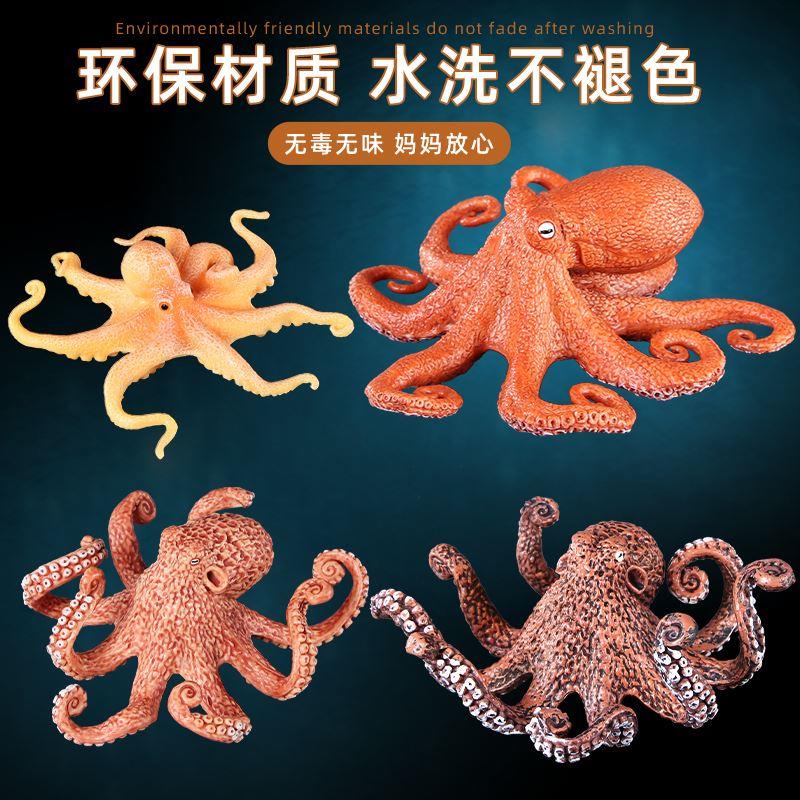 仿真海洋软体动物模型儿童海底生物玩具八爪鱼章鱼乌贼鱿鱼摆件-图1