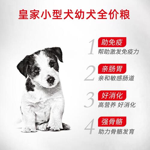 皇家狗粮MIJ31小型犬幼犬全价粮2kg泰迪比熊专用奶糕狗粮官方正品