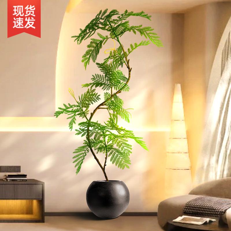 绿植装饰摆饰落地大型客厅入户玄关电视柜旁边室内盆栽蓝色的花楹 - 图1