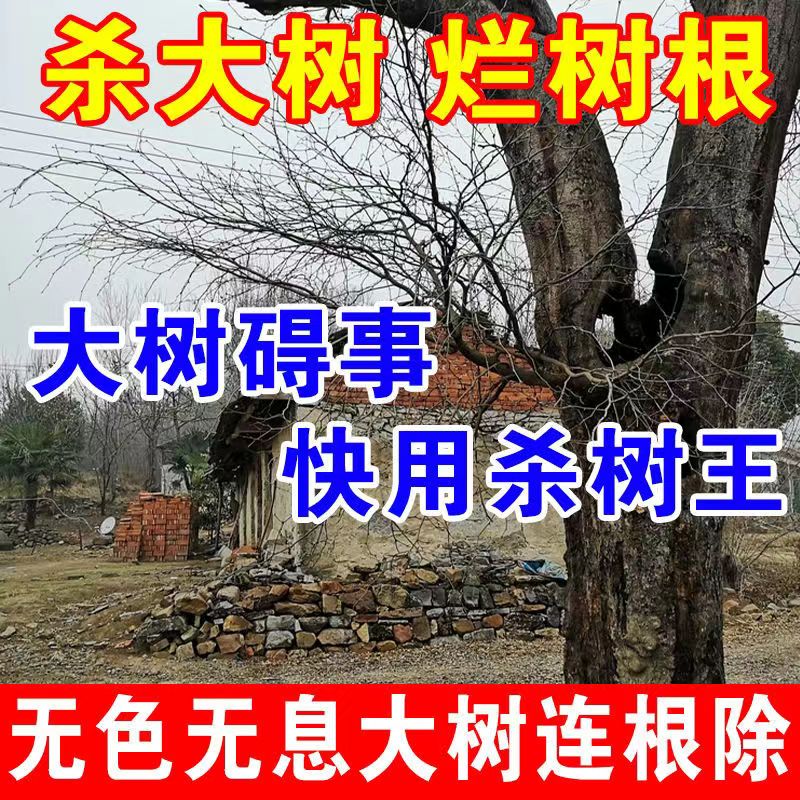 大树必死药根除大树专用烂树根剂除树强力除草百树枯剂一滴死烂根-图0