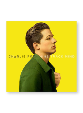 断眉Charlie Puth音乐专辑封面海报欧美周边宿舍酒吧背景墙贴画