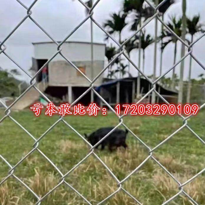 热镀锌铁丝网围栏网养鸡狗牛羊养殖网勾花网钢丝网户外防锈防护网,淘宝优惠券,粉丝福利购,淘宝优惠卷