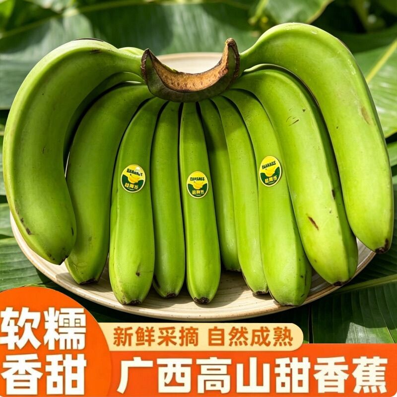 广西高山甜香蕉5/9斤新鲜水果现摘现砍现发整箱自然熟青皮香蕉 箱现实拍商品图