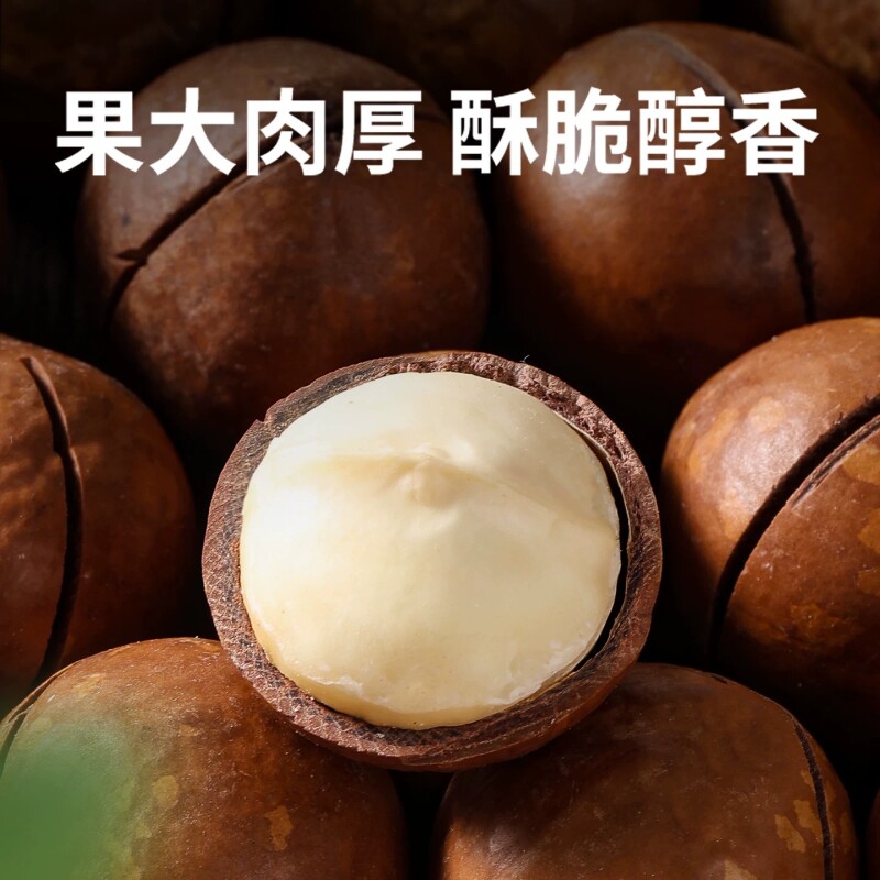 滇食部落500g大颗粒奶油味夏威夷果云南特产袋装炒制坚果新货批发