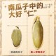 Huaweiheng Xinjiang Beauty Pumpkin Seeds