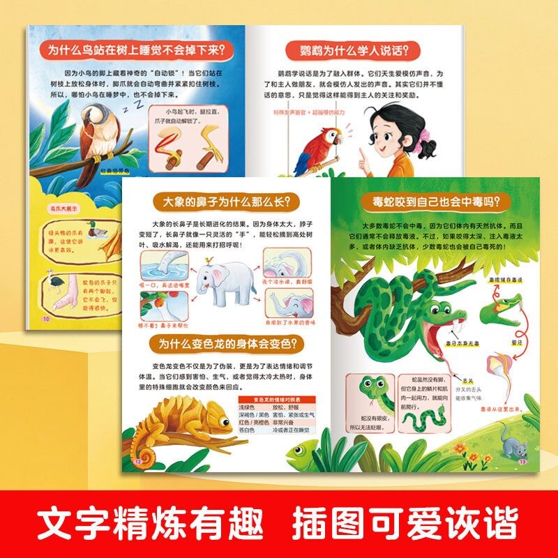 图 5