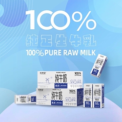 新希望纯牛奶250mlx20盒