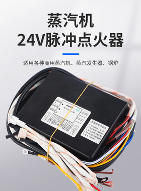 新品蒸汽发生器本威24V双阀脉冲点火器 商M用蒸柜蒸炉蒸汽机通用