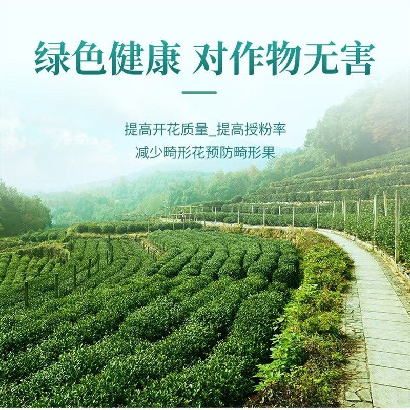 速发底米缓释硼颗粒果肥颗粒硼肥柑豆果树玉肥小麦大橘槟榔通用,淘宝优惠券,粉丝福利购,淘宝优惠卷