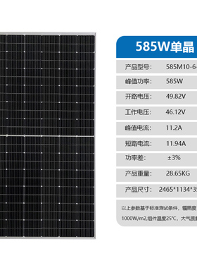 户外并网太阳能光伏发电光伏板单晶硅太阳能组件220v 家用