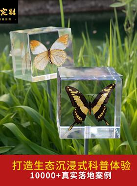 压克力蝴蝶标本果实昆虫植物户外科普装置幼儿园林软装造景设计创