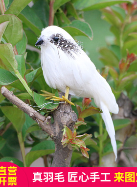 仿真小鸟彩色羽毛鸟摆件鸟v笼装饰假鸟摄影装饰喜鹊麻雀小鸟仿真