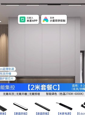 超薄明装智能集控磁吸轨道灯吸顶灯泛光灯客厅卧室过道无主灯照明